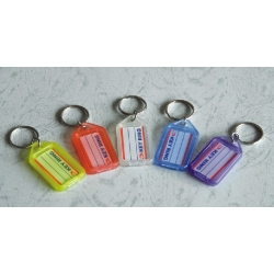 5.6*2.9*0.6cm translucent Key Chains